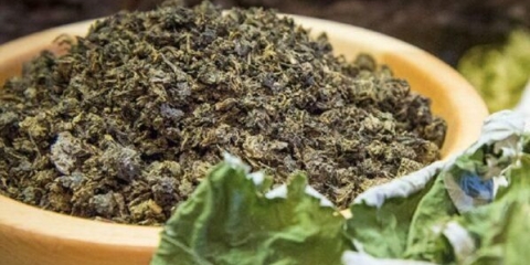 Kako fermentirati listove maline kod kuće za čaj